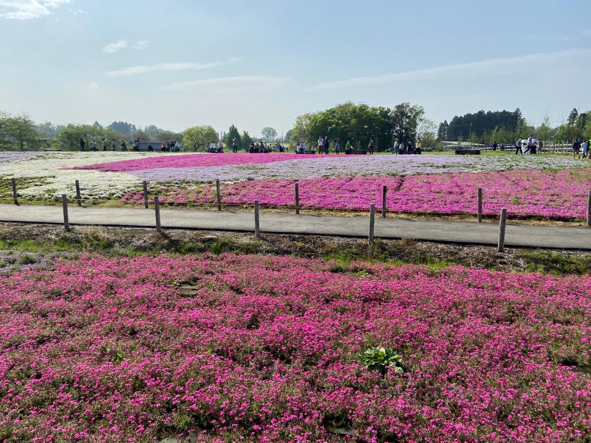 Vessel Inn Keisei Tsudanuma Station Narashino Kültér fotó